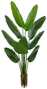 Planta Árvore Artificial Bananeira de Jardim Real Toque X10 Verde 1,60m